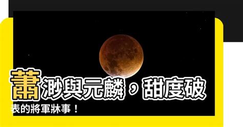 元麟 萧渺|元麟萧渺祁光南柯郡主 相关帖子